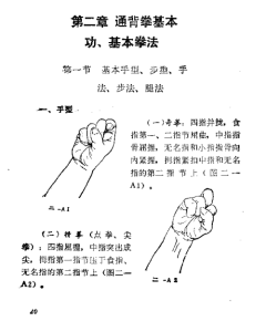 图片[3]-通背拳 (中华武术文库·拳械部·拳术类) PDF版本-江南图