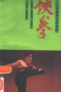 广东南拳名家套路(侠拳—邓锦涛）.pdf-江南图
