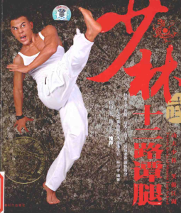 功夫：少林十二路谭腿–释行宇 pdf-江南图