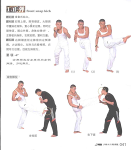 图片[3]-功夫：少林十二路谭腿–释行宇 pdf-江南图