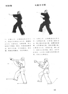 图片[3]-龙形拳-广东南拳名家套路(也可声）.pdf-江南图