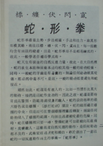图片[2]-(蛇形拳-朱绍基.）.pdf-江南图