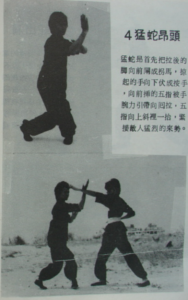 图片[3]-(蛇形拳-朱绍基.）.pdf-江南图