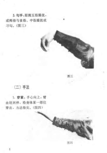 图片[3]-峨眉拳（一、二路）-峨眉拳研究整编小组编.pdf-江南图